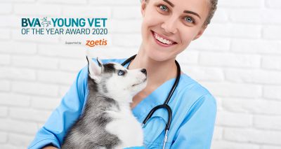 'Exceptional young vets' sought for BVA award